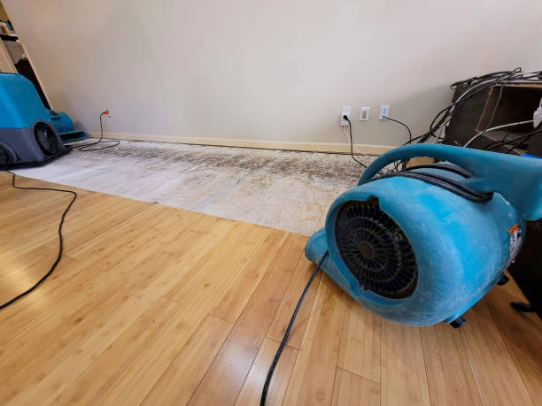 Professional Flood Damage Cleanup technician working in Augusta, KY